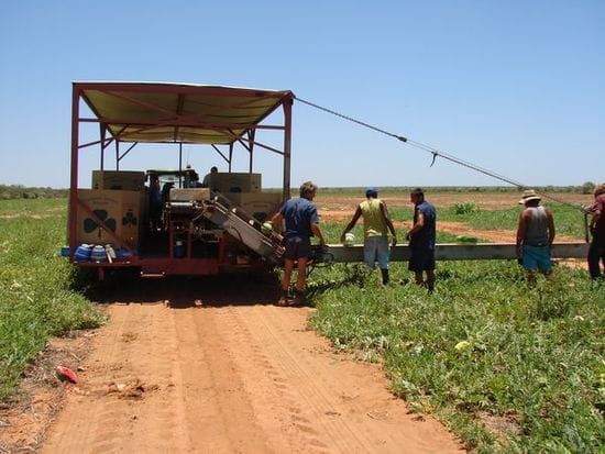 BACKPACKER TAX CONTRARY TO NORTHERN AUSTRALIA DEVELOPMENT